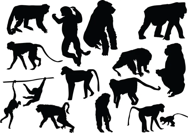 Quinze silhuetas de macaco — Vetor de Stock