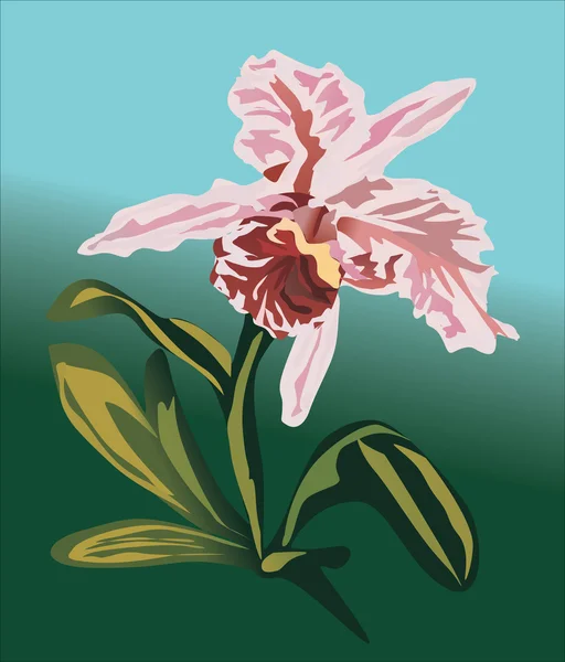 Pink orchid flower on green — Stock Vector