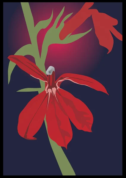 Flores de orquídea roja — Vector de stock