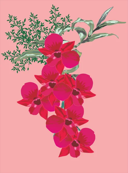 Sei fiori rossi del orchid — Vettoriale Stock