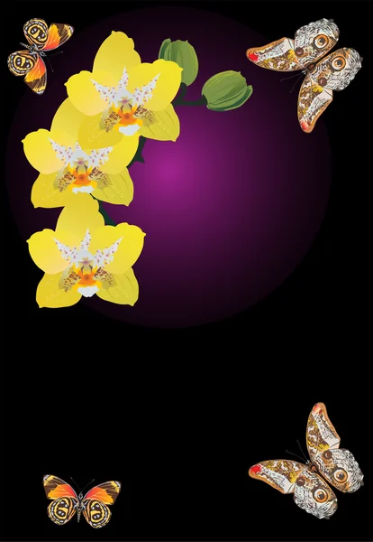 Yellow orchid flowers and butterflies — Stock Vector