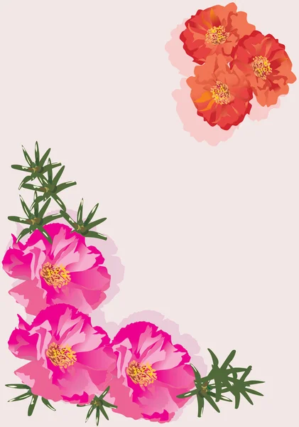 Cadre fleur rose et orange — Image vectorielle