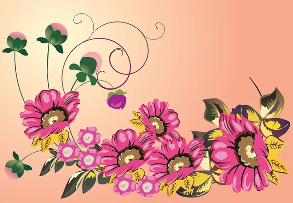 Decoratie met vijf grote roze bloemen — Stockvector