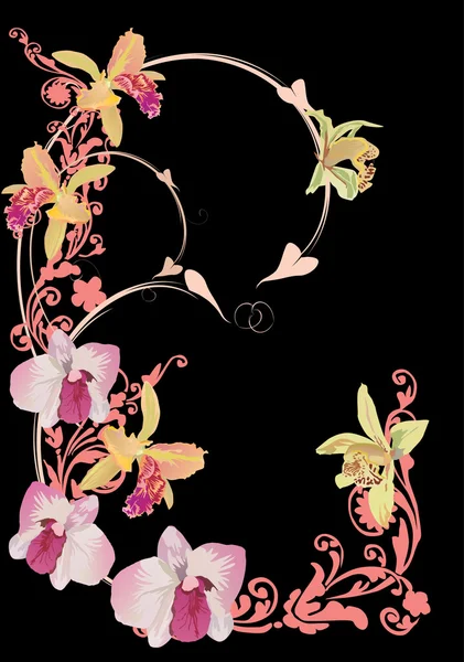 Pink orchids curl on black — Stock Vector