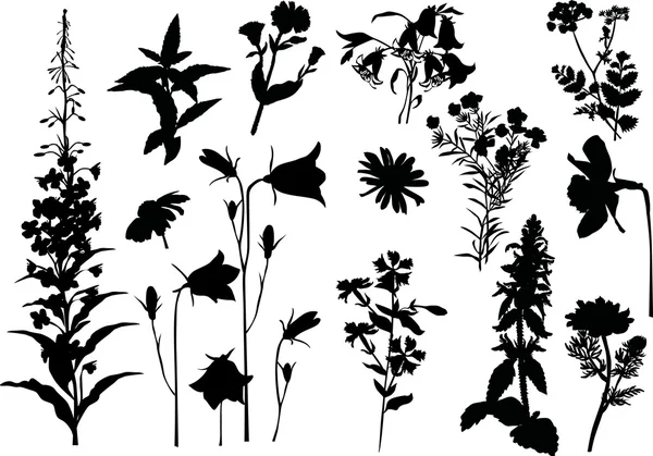 Set of flower silhouettes on white — Stock Vector