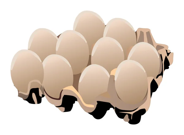 Set de ouă — Vector de stoc