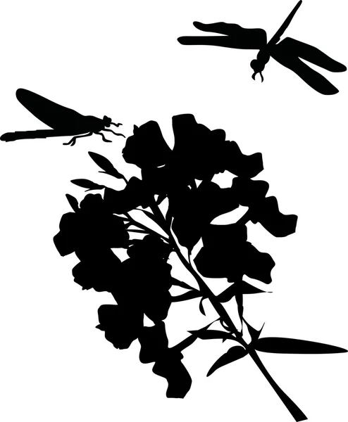 Zwei Libellen auf Blume — Stockvektor