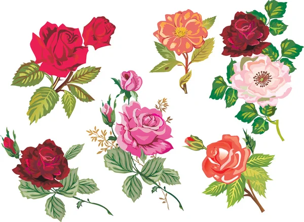 Colección de ramas de rosa — Archivo Imágenes Vectoriales