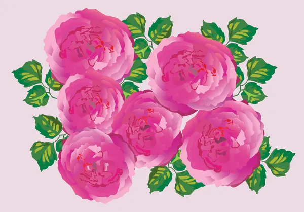 Six pink rose decoration — Stock vektor