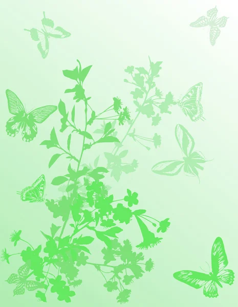 Зеленая иллюстрация с цветами вишни — стоковый вектор