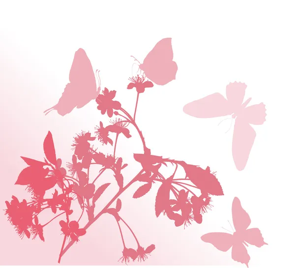 Bloem tak en vier vlinders — Stockvector