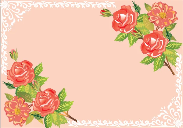 Piros rózsa keret minta rózsaszín — Stock Vector