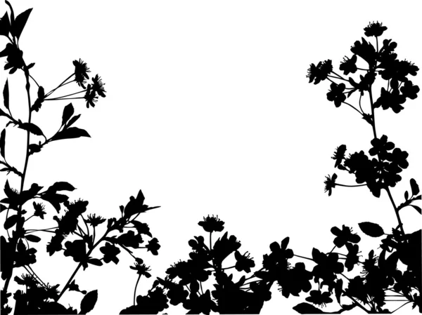 Kiraz ağacı çiçek yarım çerçeve — Stok Vektör