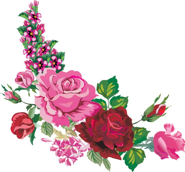 Rose et rouge coin rose sur blanc — Image vectorielle