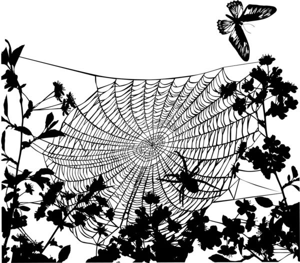 Spider in flowers illustration — Stock Vector