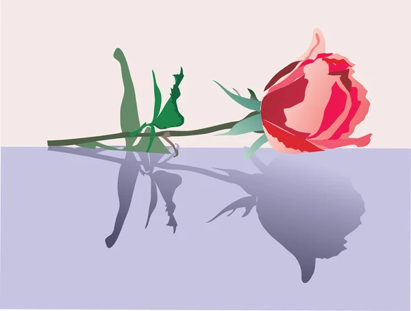 Rosa roja con ilustración de reflexión — Archivo Imágenes Vectoriales