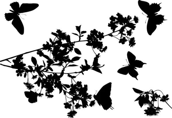 Schets van de kersenboom en vlinders — Stockvector