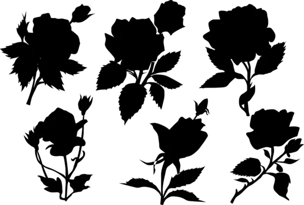 Six rose silhouette — Stock Vector