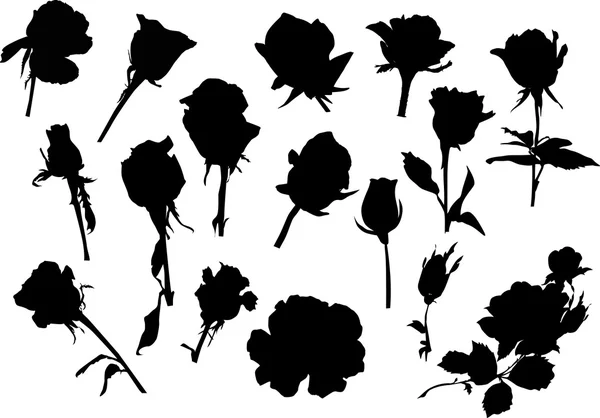 Sixteen rose silhouettes — Stock Vector