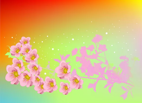 在明亮的背景上的粉色樱桃花 — 图库矢量图片
