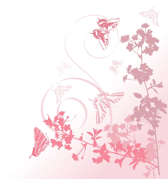 Kwiaty różowe wiśniowe drzewo z motylami — Wektor stockowy