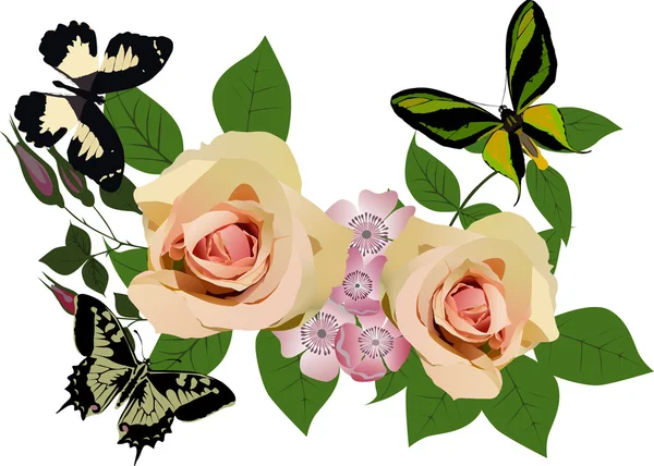 Rose leggere e farfalle su bianco — Vettoriale Stock