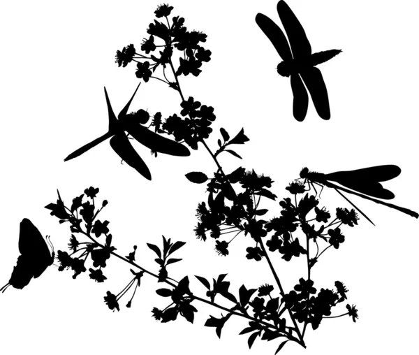樱桃树花朵和昆虫剪影 — 图库矢量图片