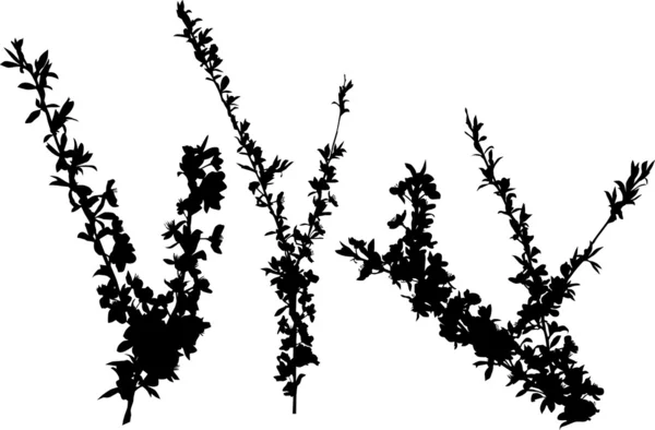 Kersenboom silhouet set — Stockvector