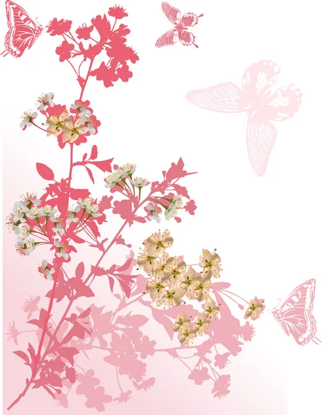 Quatro borboletas e flores sakura rosa — Vetor de Stock