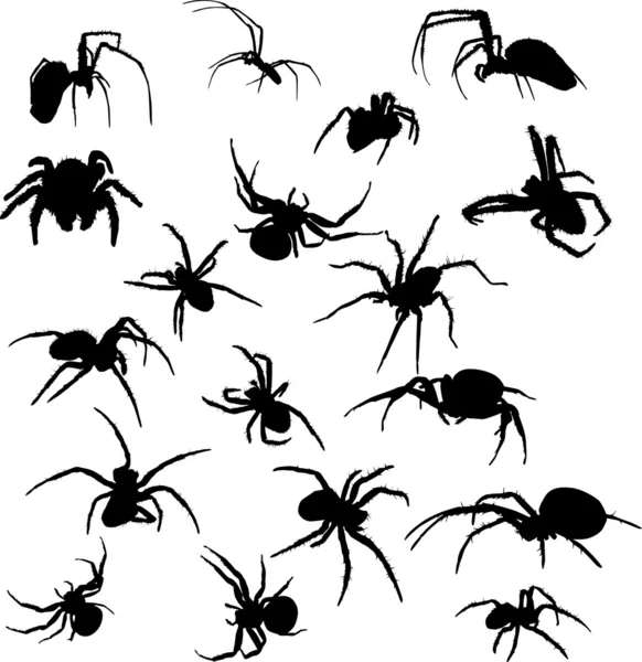 Dieciocho siluetas de araña — Archivo Imágenes Vectoriales