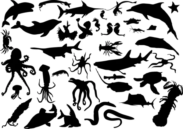Stor uppsättning havslevande djur — Stock vektor