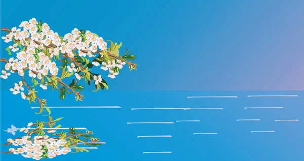 Fleurs de cerisier blanc avec réflexion — Image vectorielle