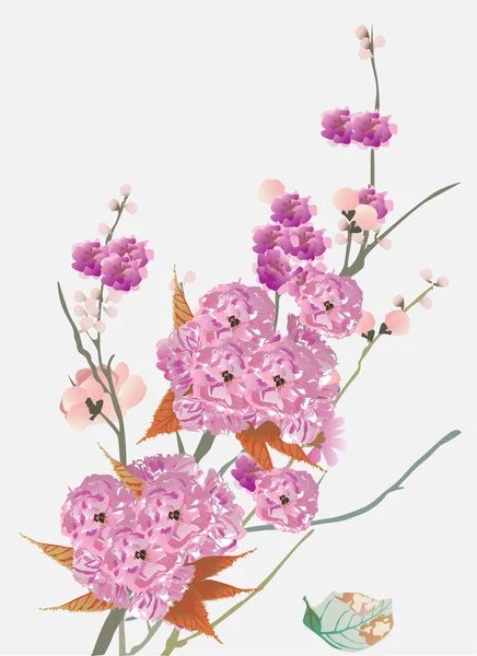Розовые цветы вишни на светло-голубом — стоковый вектор