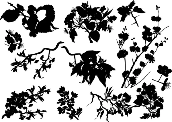 Kiraz ağacı çiçek koleksiyonu — Stok Vektör