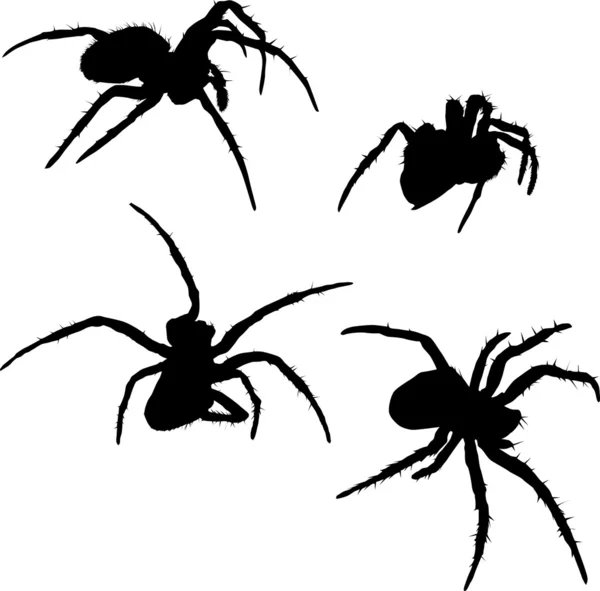 Four spider silhouettes — Stock Vector