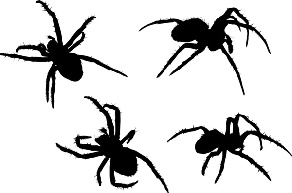 Vier schwarze Spinnen — Stockvektor