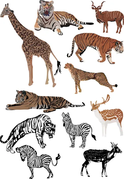 Одиннадцать цветных животных — стоковый вектор