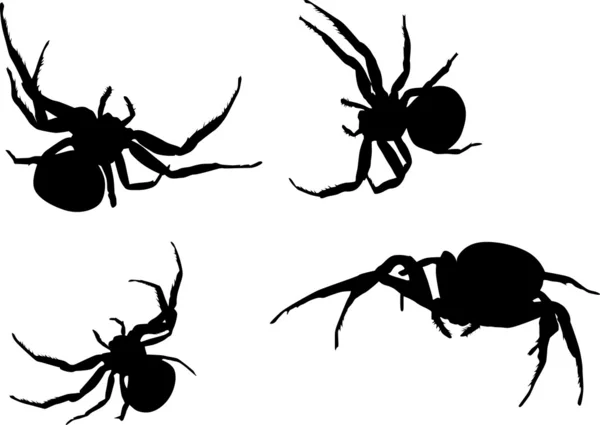 Siluety čtyř pavouků — Stockový vektor