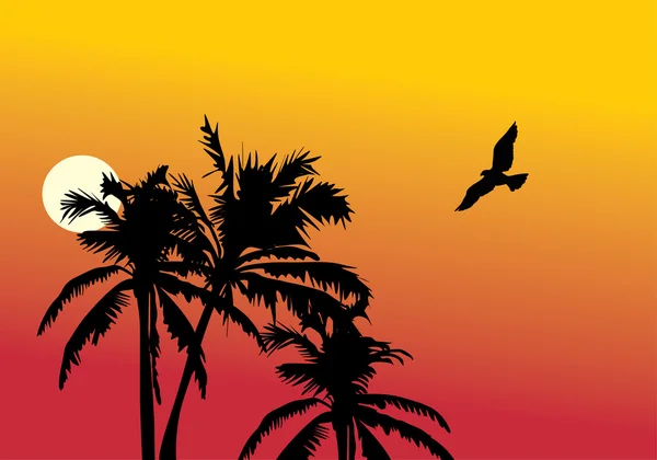 Palmen en vogel — Stockvector
