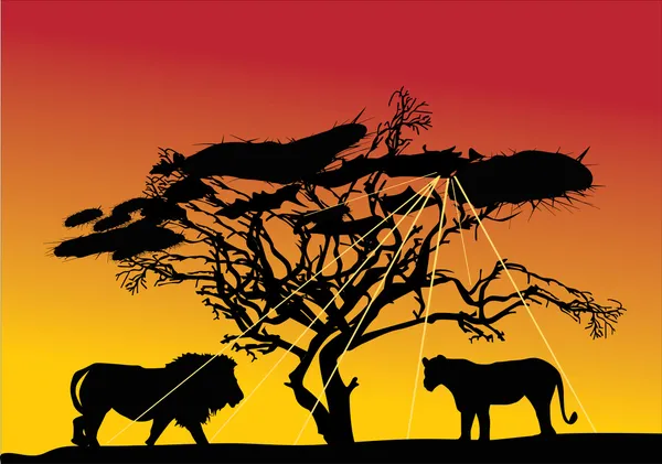 Lions et coucher de soleil — Image vectorielle