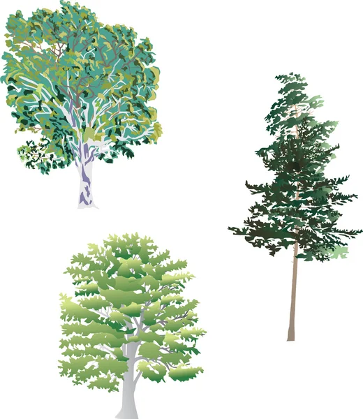 Tři zelené stromy — Stockový vektor