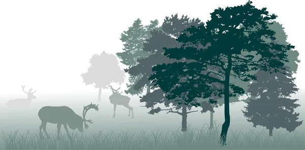 Ciervos en la ilustración forestal — Vector de stock
