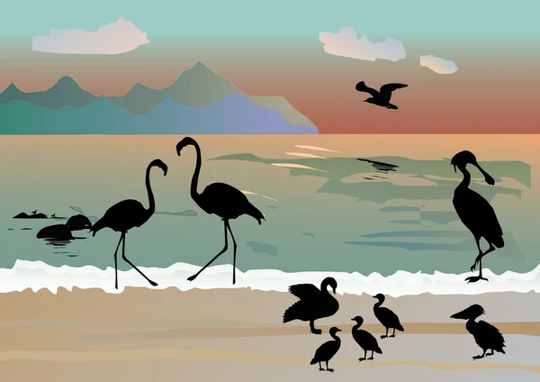 Coastline and bird silhouettes — Stock Vector