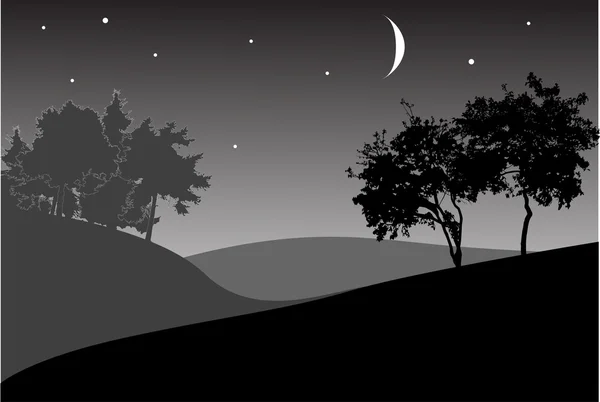 Δέντρα κάτω από το νυχτερινό ουρανό με αστέρια — Διανυσματικό Αρχείο