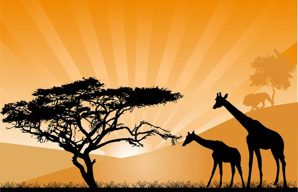 Orange sunset with giraffes — Stock Vector