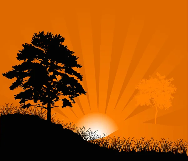 Pôr-do-sol laranja entre árvores — Vetor de Stock