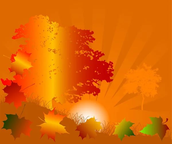 Orangefarbener Herbstsonnenuntergang — Stockvektor