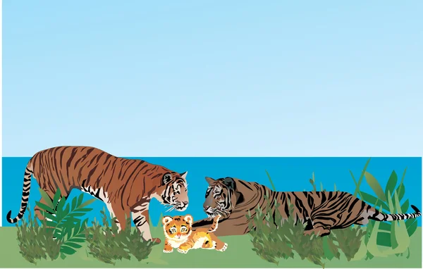 Famille de tigres dans l'herbe — Image vectorielle