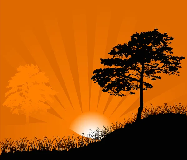 Sol naranja entre árboles — Vector de stock