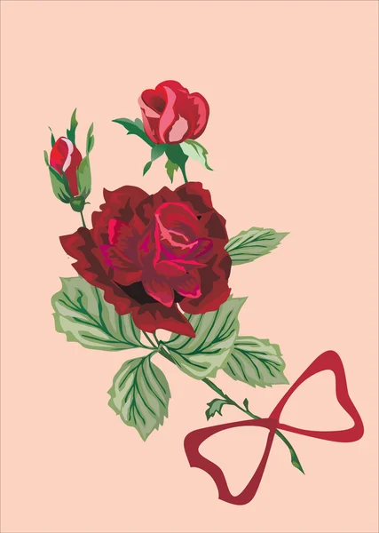 Red rose on pink — Stock Vector
